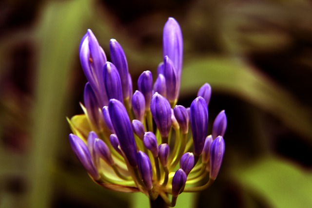 FIFA年度最佳男子足球教練：斯卡洛尼榮耀當選！.