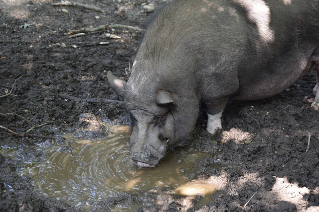 這是一個值 這是一個值