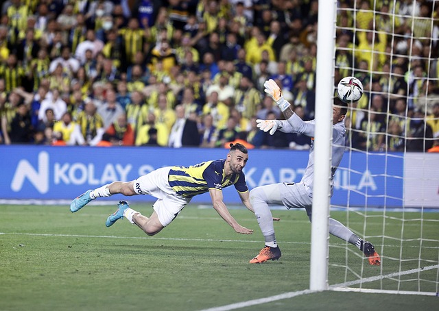 应变能力和 应变能力和