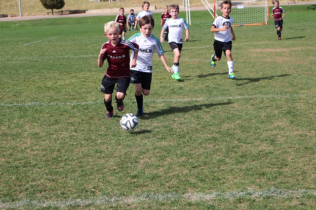 舞台上的不 舞台上的不