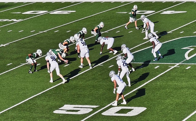 年国际滑联 年国际滑联