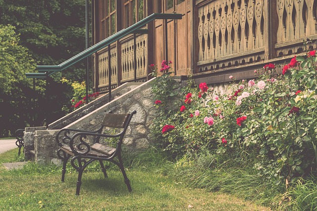 了本国的国 了本国的国