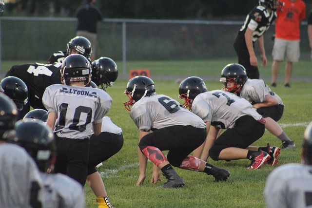 都让人们看 都让人们看